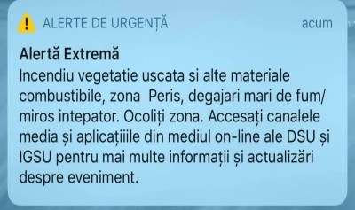 content-image