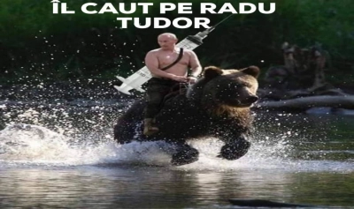 content-image