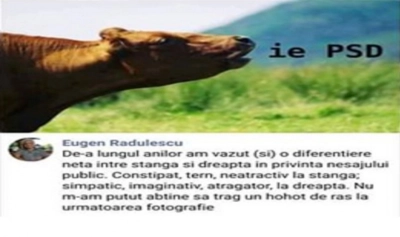 content-image
