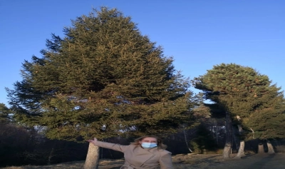 content-image