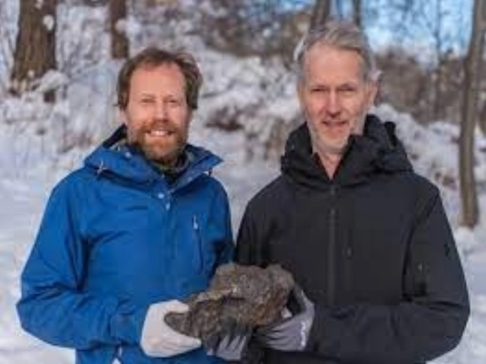 Article thumbnail