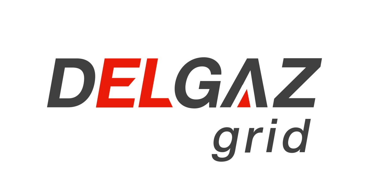 Delgaz Grid organizează licitaţie pentru achiziţia a 18 autovehicule prin leasing operaţional