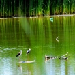 Article thumbnail