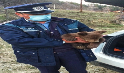 content-image