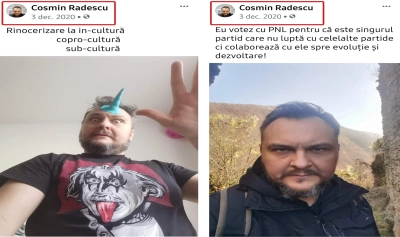 content-image