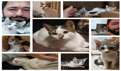 content-image
