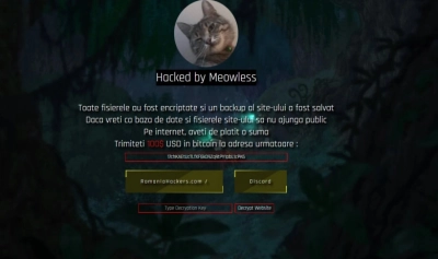 content-image
