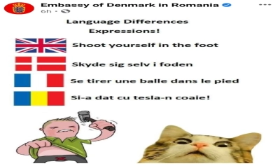content-image