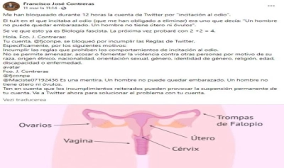 content-image