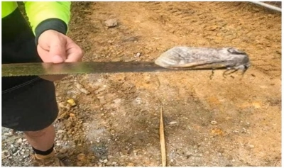 Article thumbnail