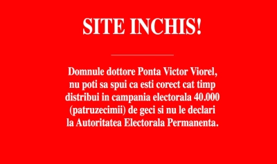 content-image