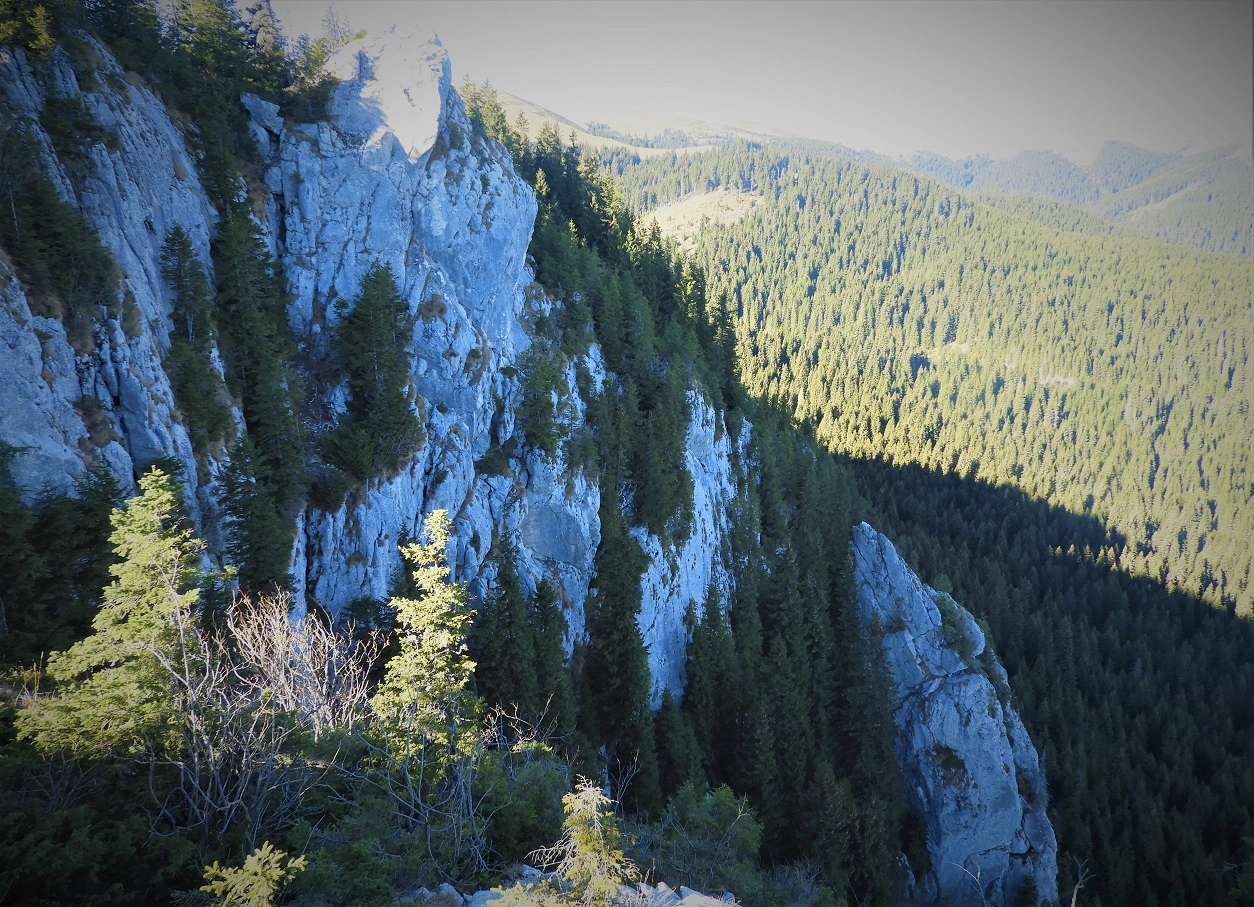 Cazul adolescentului britanic dispărut în Bucegi, în presa internațională - Știrea a ajuns în Canada și Australia