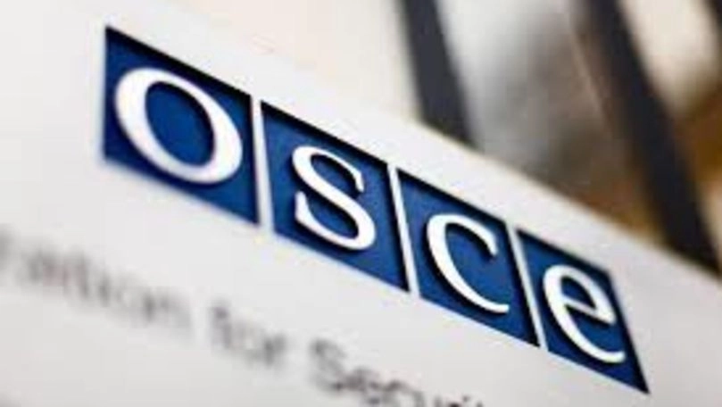 Elveţia susține că OSCE ar putea să joace un rol-cheie în supravegherea unei încetări a focului între Rusia și Ucraina