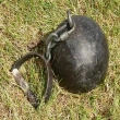 Article thumbnail