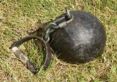 Article thumbnail