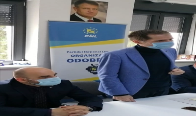 content-image