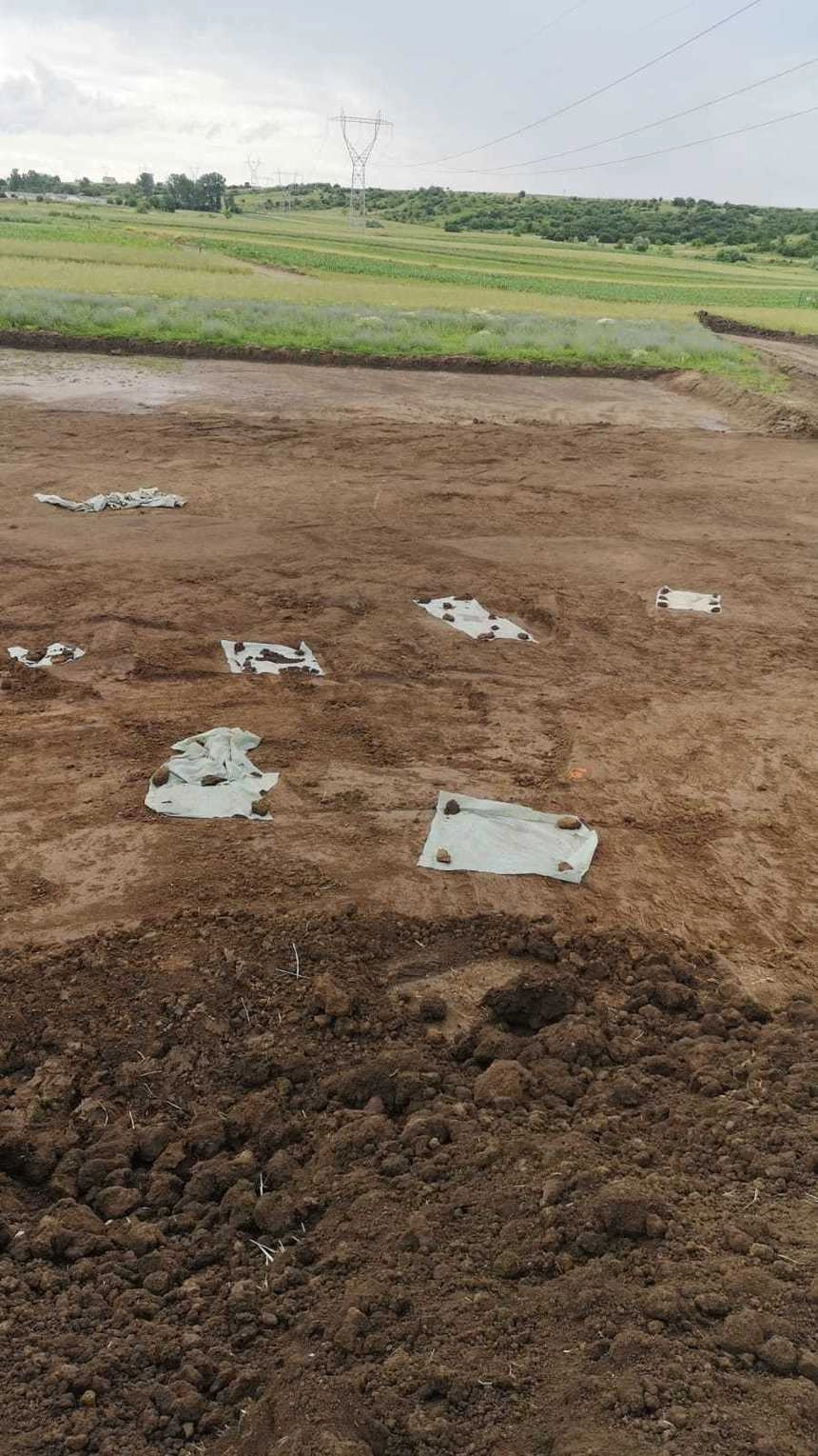 Arheolog Victor Bunoiu: Movilele funerare ale Banatului trebuie protejate - Pot deveni atracţii turistice