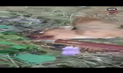 content-image