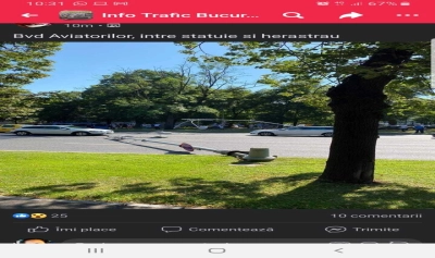 content-image