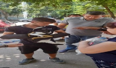 Article thumbnail