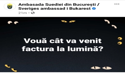 content-image