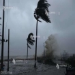Article thumbnail
