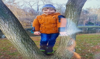 content-image
