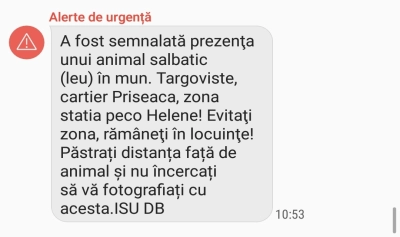 content-image