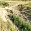 Article thumbnail