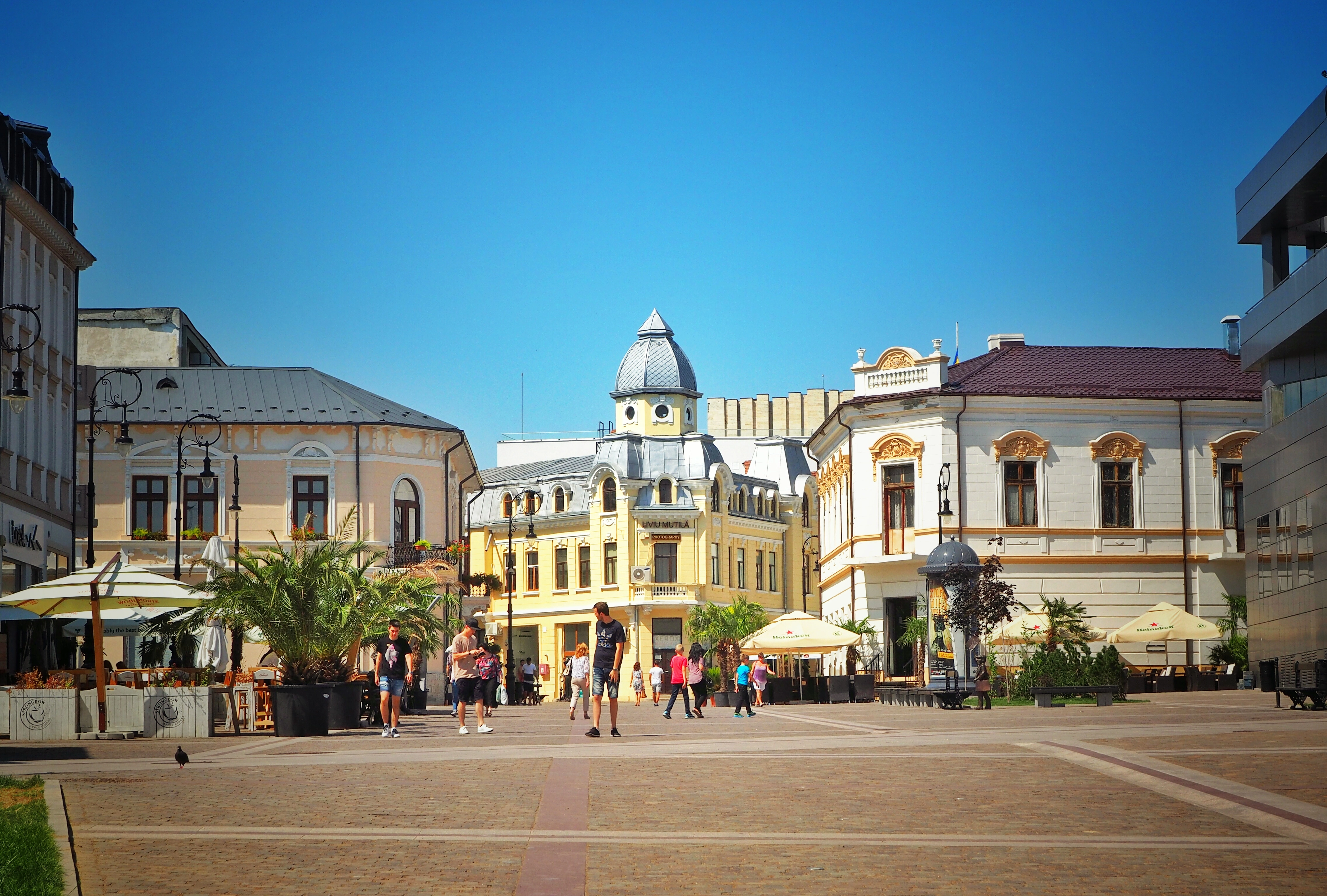 Număr record de vizitatori la muzeele din Craiova, în 2025