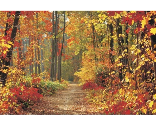 Vremea în următoarele patru săptămâni - Toamnă blândă și secetoasă. Când vin ploile