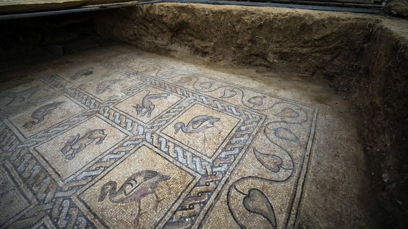 Edificiul Roman cu Mozaic, redeschis de Ziua Dobrogei după ce a fost restaurat