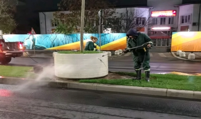 content-image