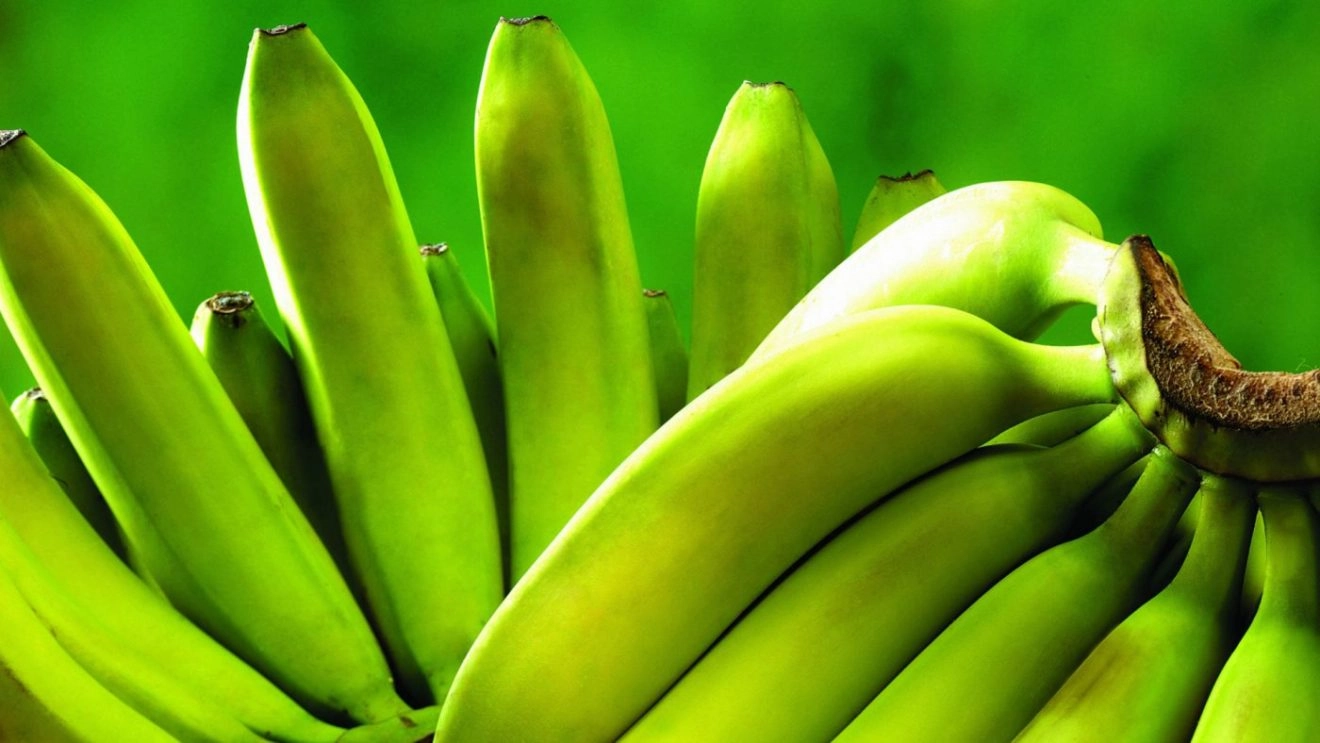 Banane pentru Moscova - Rusia investește în cultivarea fructelor tropicale