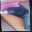 Article thumbnail