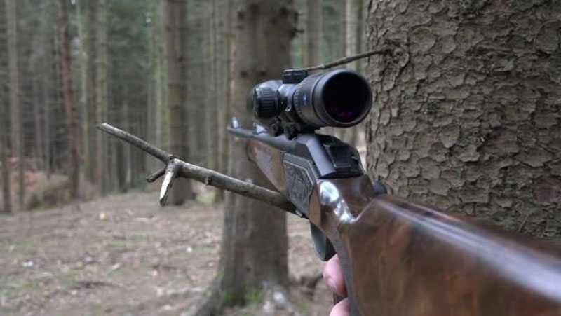 Căpriori și mistreți în captivitate, găsiți în Timiș. Trei bărbați reținuți pentru braconaj