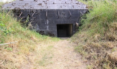 content-image