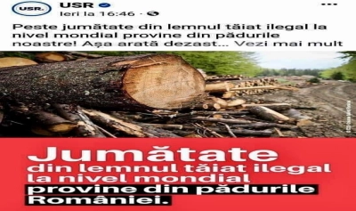 content-image
