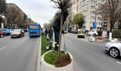 content-image