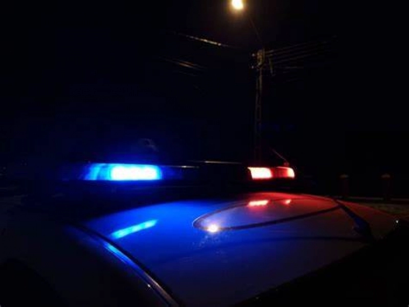 Accident neobișnuit: frunzele de ceai căzute pe șosea au provocat un carambol cu peste 10 mașini – un mort și trei răniți