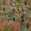 Article thumbnail