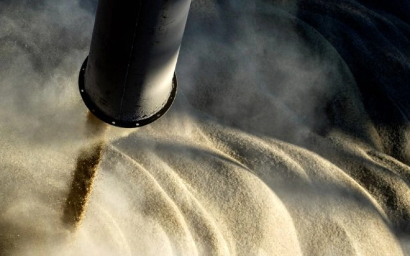 Prognoza ANM: Culturile de toamnă evoluează bine, cu sol aproape optim în majoritatea regiunilor