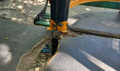 content-image