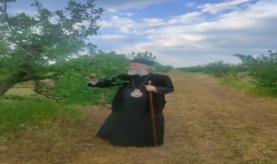 content-image