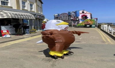content-image