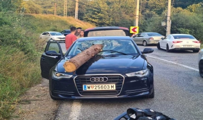 content-image