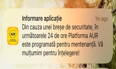 content-image