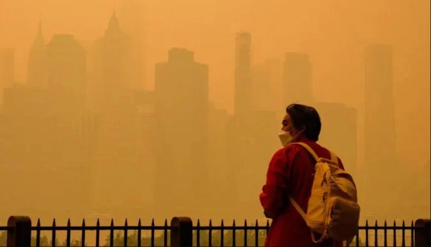 Un impact mai puțin cunoscut al aerului poluat asupra sănătății: asociere cu modificări timpurii ale imunității