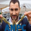 Article thumbnail