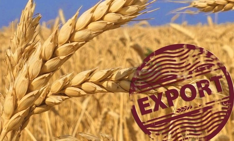 Sancționată la greu de UE, Rusia dă lovitura: Crește prețurile la grâu după majorarea cererii